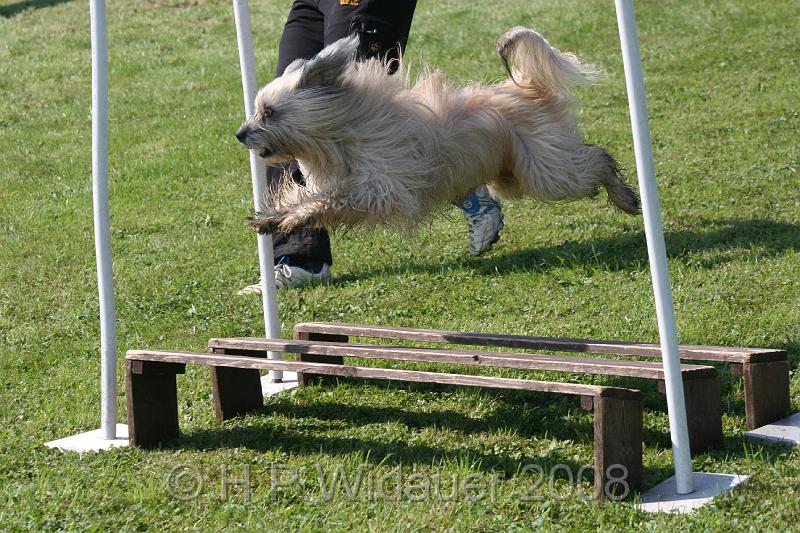 jubil.lusten. 225.jpg